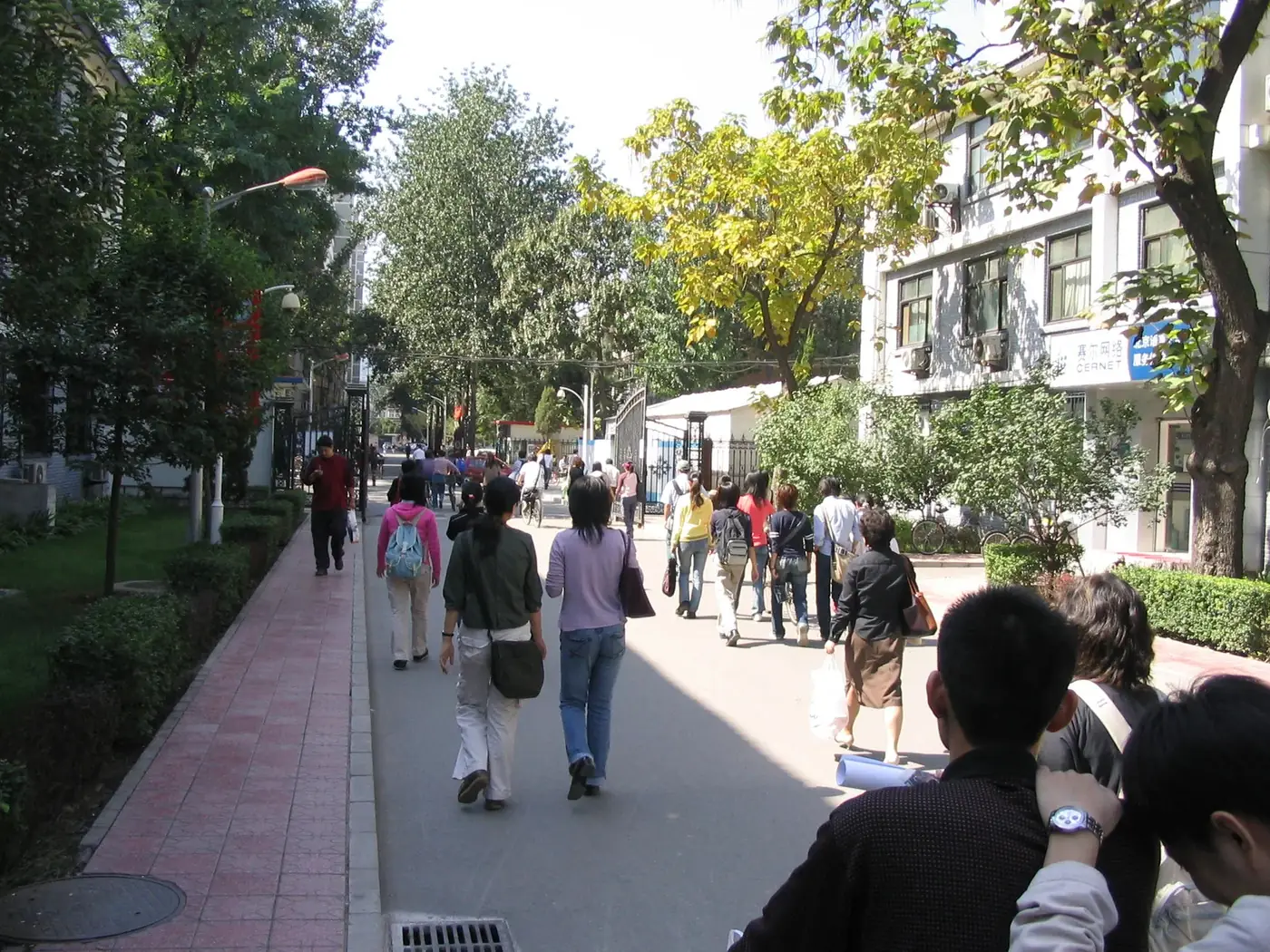 Campus, Beijing Language and Culture University