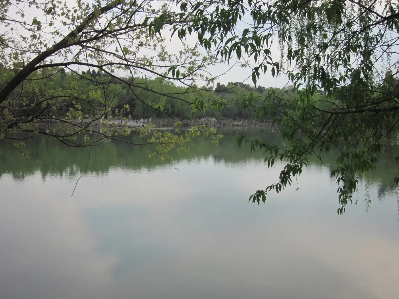 Weiming Lake, Peking University
